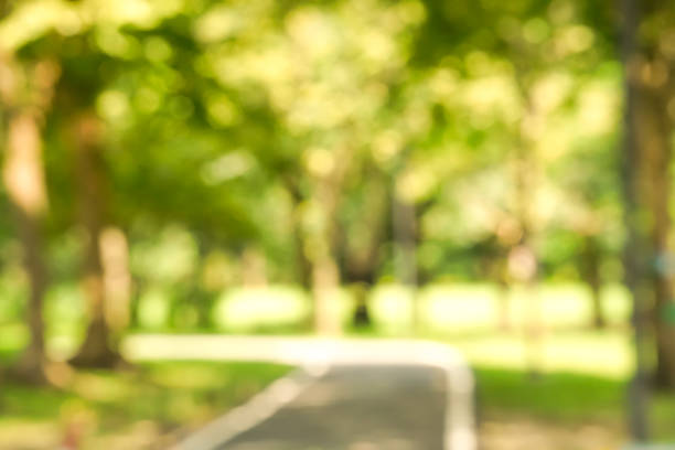 parco sfocato con sfondo chiaro bokeh, natura in giardino con albero verde in estate. - parco naturale foto e immagini stock