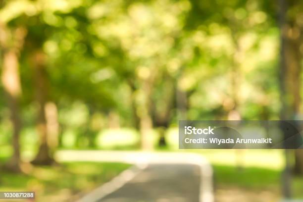 Blurred Park With Bokeh Light Background Nature At Garden With Green Tree At Summer Stock Photo - Download Image Now