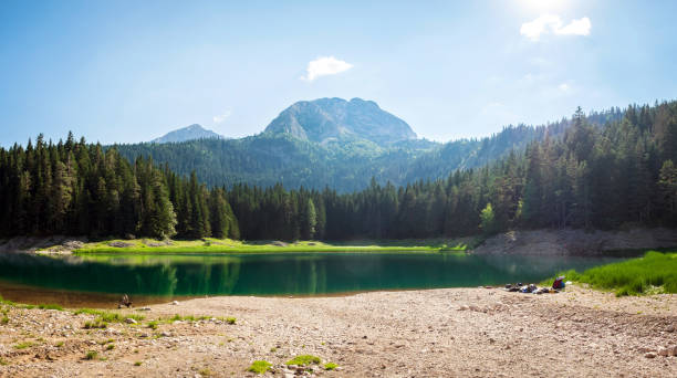 Mountain lake (Black Lake) and evergreen coniferous forest, Durmitor