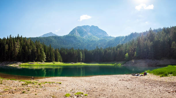 Mountain lake (Black Lake) and evergreen coniferous forest, Durmitor stock photo