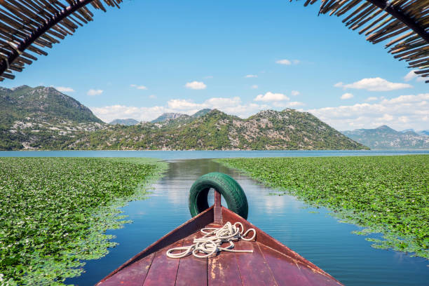 Boating on the beautiful lake. Lake Skadar National Park stock photo