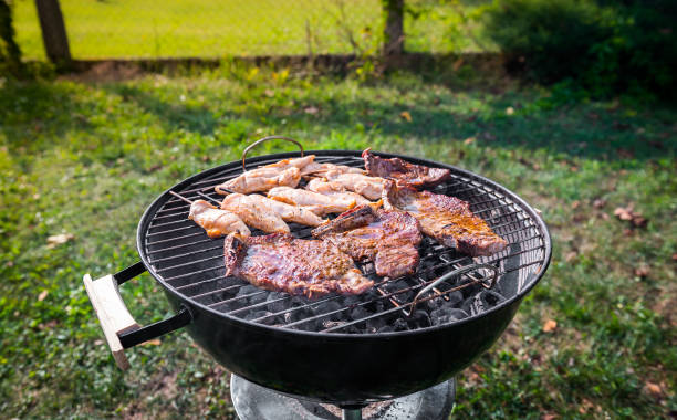 istock Making pork chops and chicken skewers on barbecue grill. 1030881530