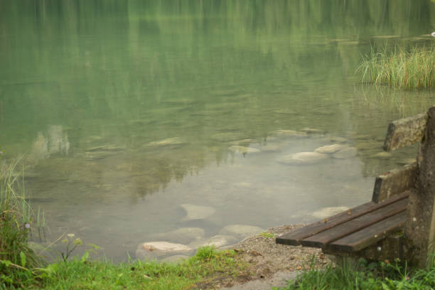 Nature shot at the Gleinkersee in Austria