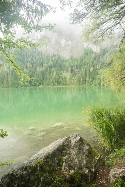 istock Nature shot at the Gleinkersee in Austria 1030882242