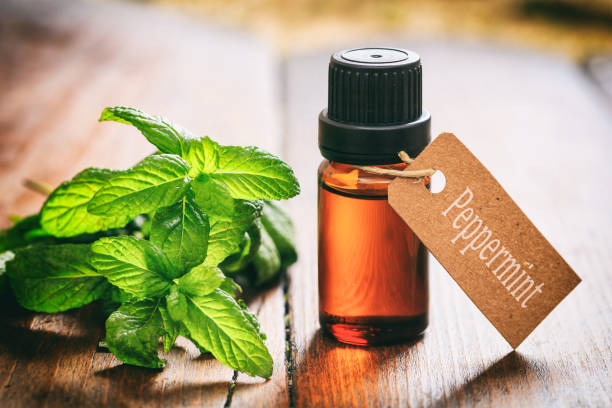 istock Fresh peppermint and oil on wooden background 1030882342