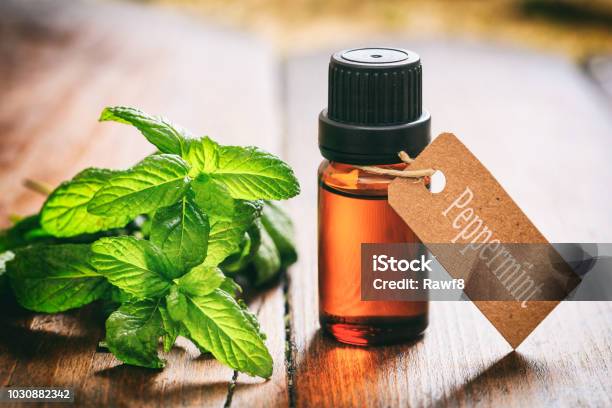Fresh Peppermint And Oil On Wooden Background Stock Photo - Download Image Now - Peppermint, Cooking Oil, Dried Tea Leaves