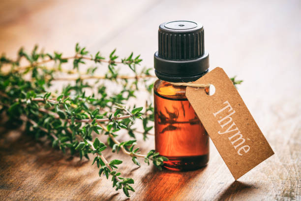 istock Thyme oil on wooden background 1030882394