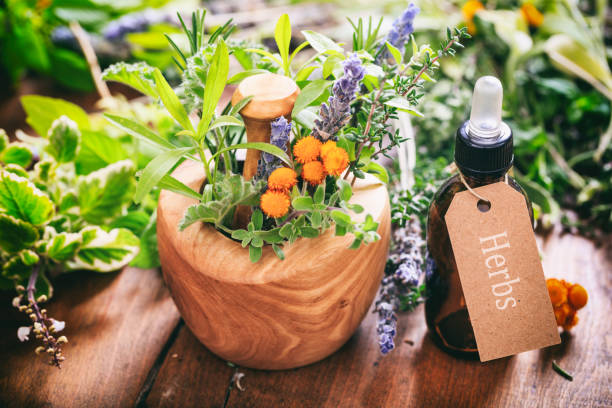 istock Herbs, essential oil and mortar on wooden background 1030882402