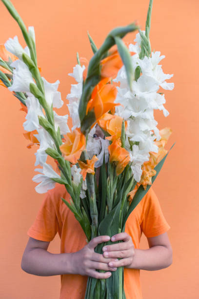 chłopiec z bukietem gladiolus - gladiolus orange flower isolated zdjęcia i obrazy z banku zdjęć