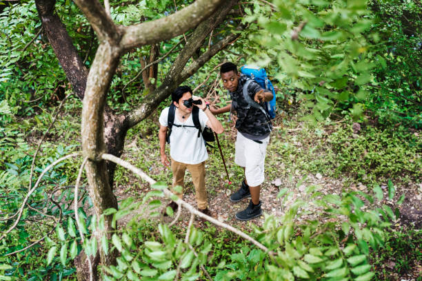 istock Friends trekking in a forest 1030886942