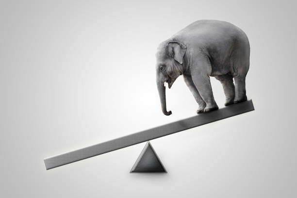 istock elephant is lifted by something with seesaw on gray backgrounds. creative and innovative business concept. 1030887602