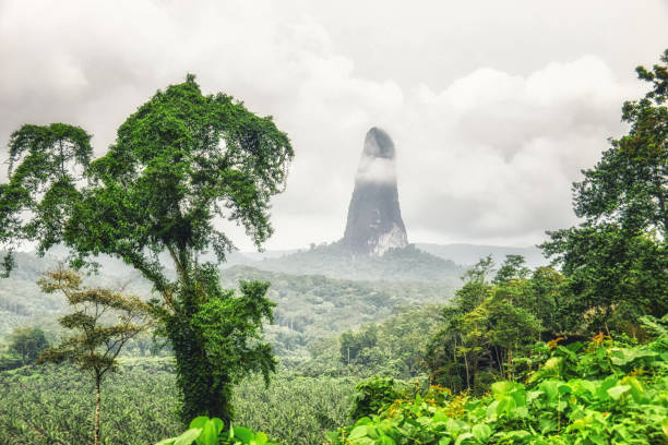 cao grande são tomé - sao tome and principe stock-fotos und bilder