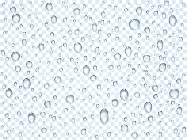 ilustrações de stock, clip art, desenhos animados e ícones de water, rain, dew or splash shower drops isolated on transparent background. pure droplets condensed on window glass surface template. vector illustration - wet dew drop steam