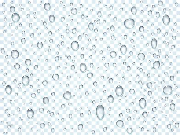 Vector illustration of Water, rain, dew or splash shower drops isolated on transparent background. Pure droplets condensed on window glass surface template. Vector illustration