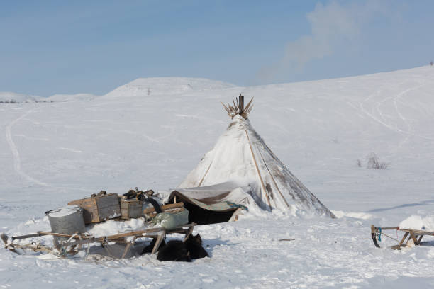 istock Nenets reindeer herders choom 1030892654