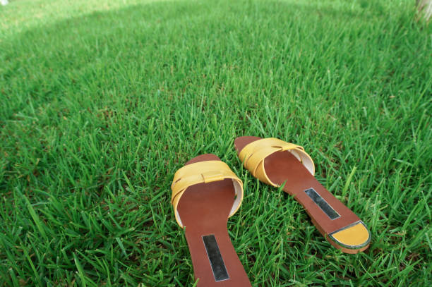istock Yellow sandals on green lawn 1030896668