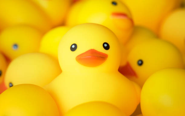 istock Closeup of rubber duckies 1030897412