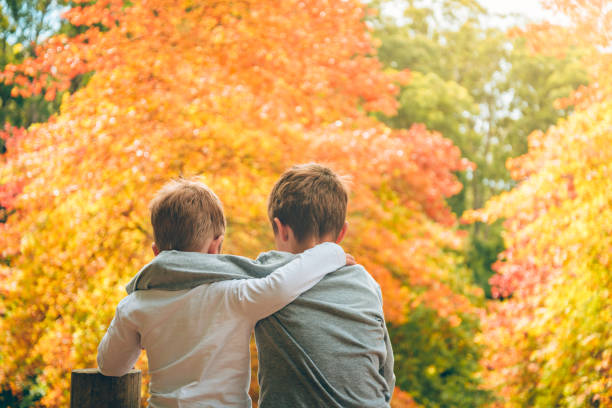 Embracing brothers sitting in autumn forest