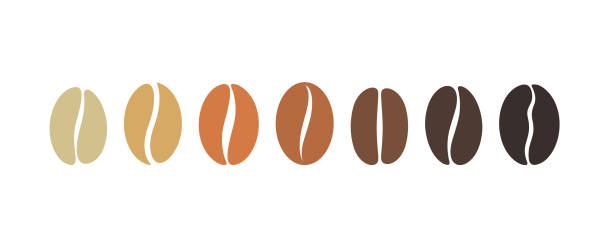 コーヒー豆のセットです。白い背景の上の隔離されたコーヒー豆 - コーヒー栽培点のイラスト素材／クリップアート素材／マンガ素材／アイコン素材