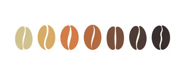 Vector illustration of Coffee bean set. Isolated coffe beans on white background