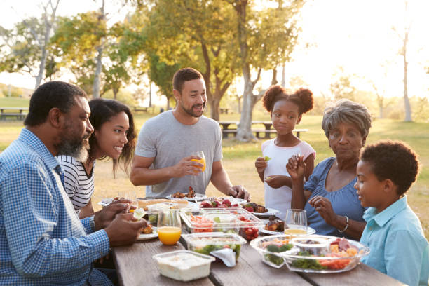 istock Multi Generation Family Enjoying Picnic In Park Together 1030916516
