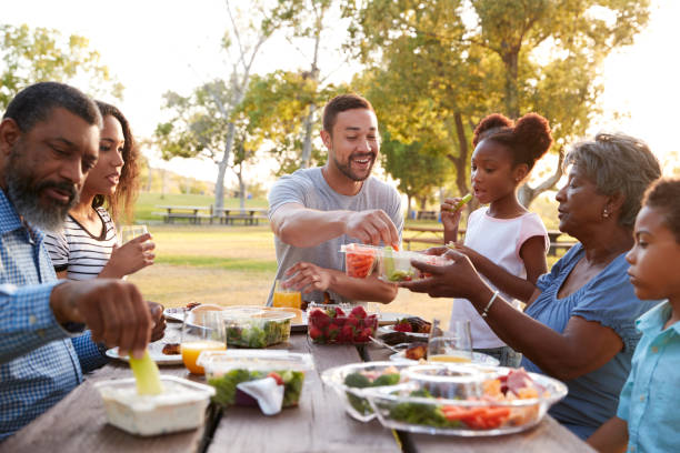 istock Multi Generation Family Enjoying Picnic In Park Together 1030916522