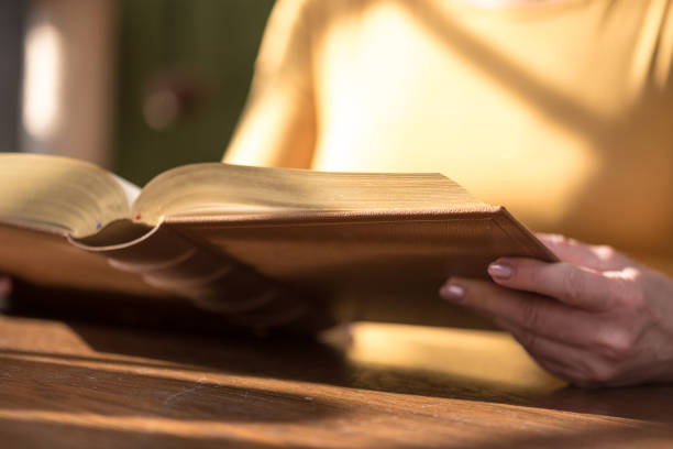 istock Woman reading a book, hard light 1030917180