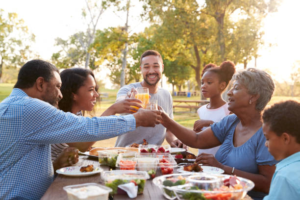 istock Multi Generation Family Enjoying Picnic In Park Together 1030917416