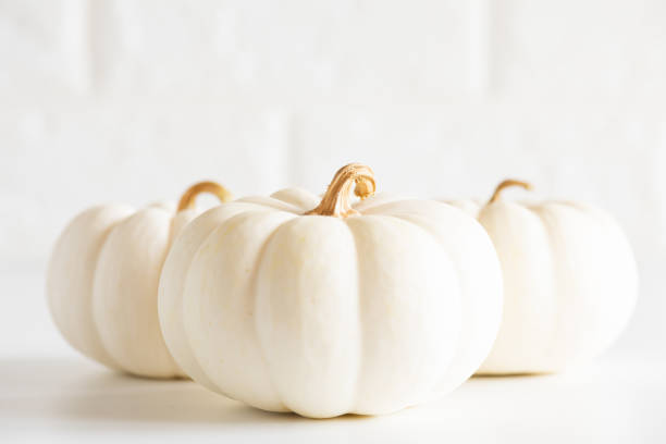 istock Soft focus on three yellow pumpkin on white brick block background. halloween concept. 1030921398