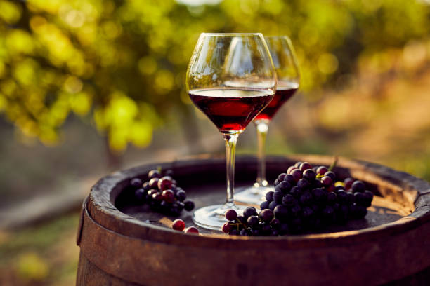 dos copas de vino tinto en el viñedo - vino fotografías e imágenes de stock