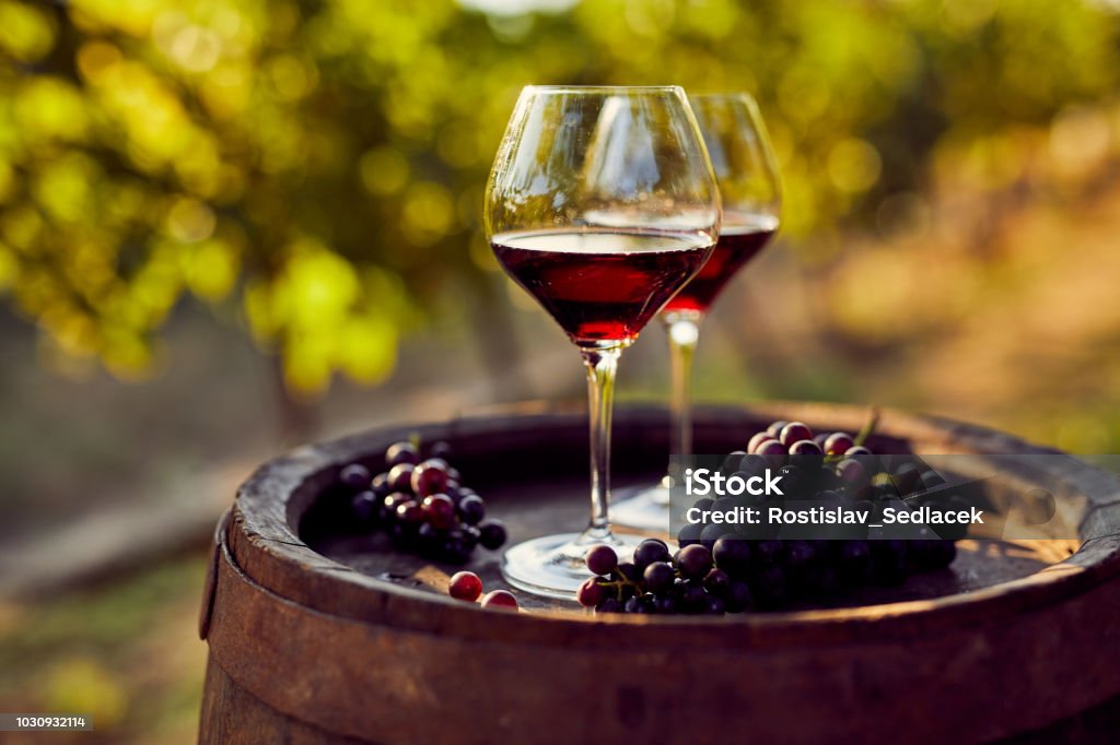 Two glasses of red wine in the vineyard Two glasses of red wine on a wooden barrel in the vineyard Wine Stock Photo