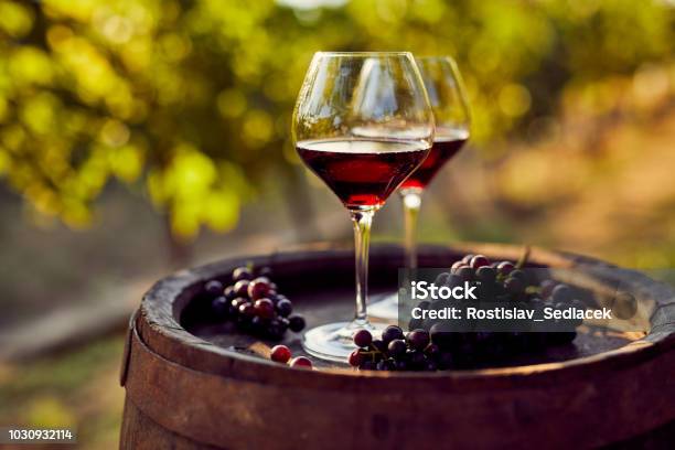 Foto de Dois Copos De Vinho Tinto Na Vinha e mais fotos de stock de Vinho - Vinho, Vinho Tinto, Uva