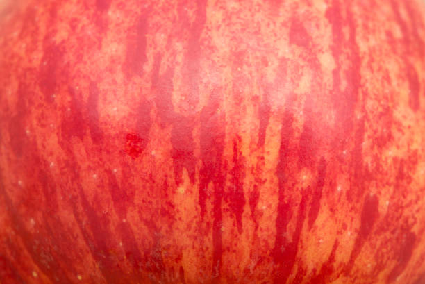 Ripe red apple close up abstract