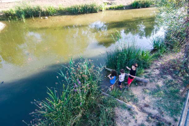 istock Three kids playing on the shore of a lake 1030940724