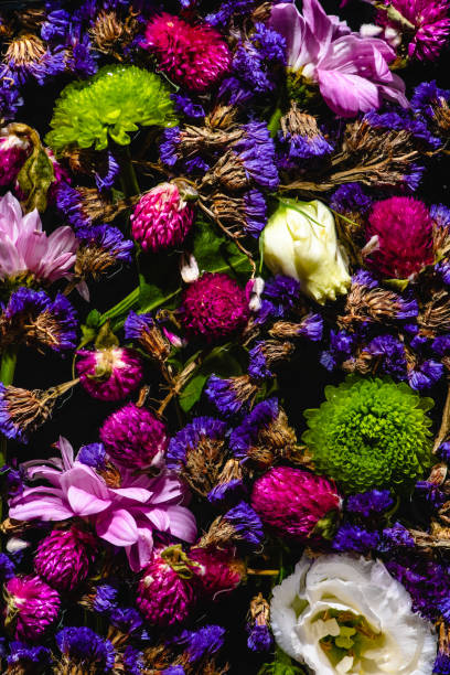istock top view of various beautiful blooming flowers on black 1030943496
