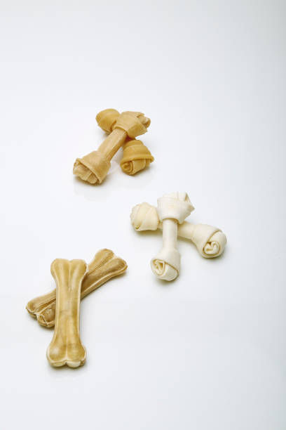 istock Dog bone isolated on white background 1030949226
