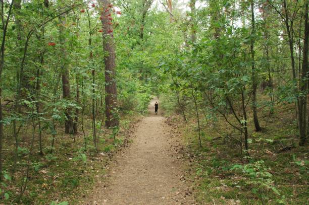 istock Woman walking in the heath 1030953362