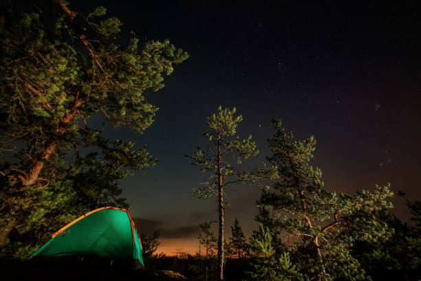 istock Night scene with illuminated camping tent, forest and starry sky 1030953404