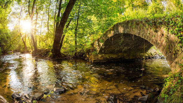 istock Old bridge over a creek in the forest 1030953874