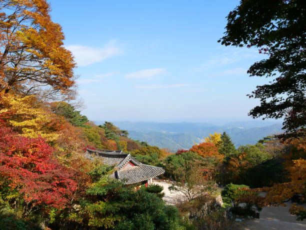 istock Seokguram Grotto Temple in autumn. 1030956856