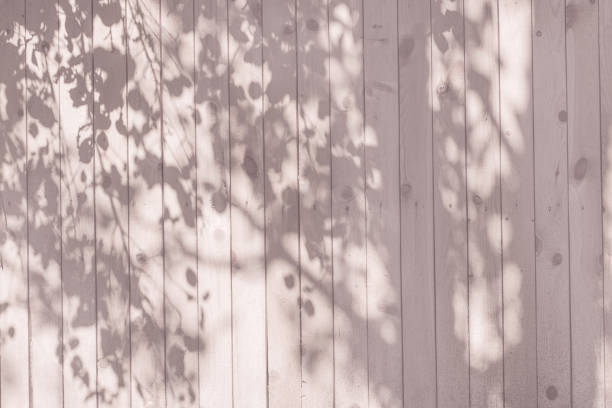 istock a shadow from the leaves on a pink wooden wall 1030956930