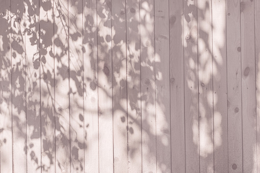 Shadow of trunk and leaves on a white, pink, beige, blue wooden wall for wood texture background.