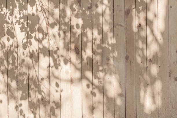 a shadow from the leaves on a beige board wall