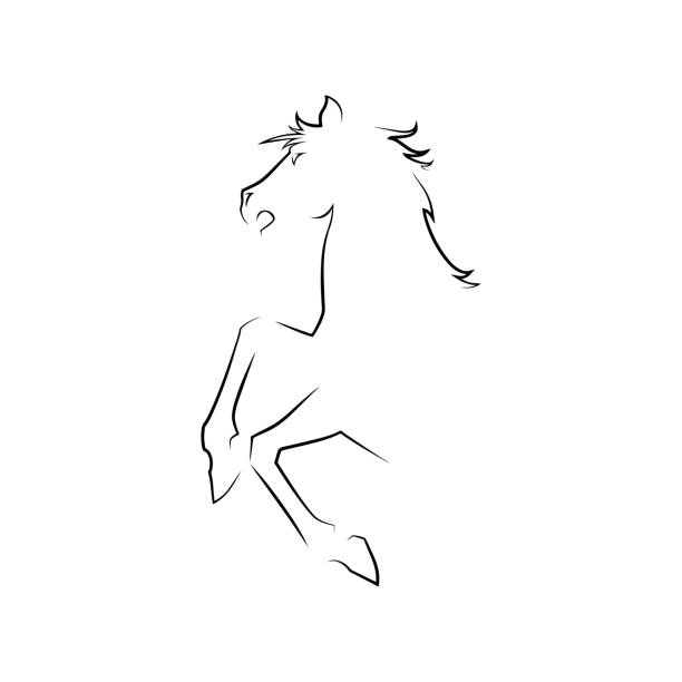 illustrations, cliparts, dessins animés et icônes de dessin d’un cheval isolé sur un symbole de cheval fond blanc vector illustration - horse animal head animal sky