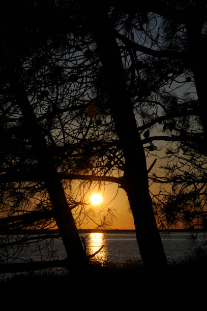 istock Sunset at the sea 1030961036