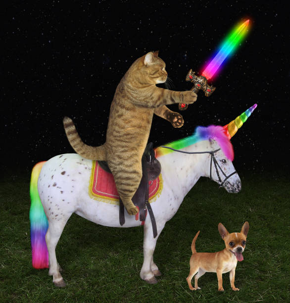 istock Cat on the unicorn near a dog 1030966916
