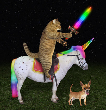 The cat with a rainbow sword is riding the real unicorn.