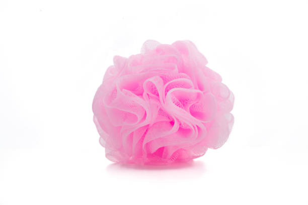 istock isolated Luffa body use for cleaning all body 1030969168