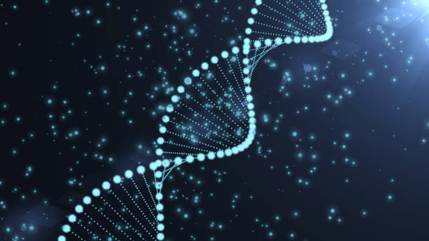 dna 순서, dna 코드 발광 구조 - thymine 뉴스 사진 이미지