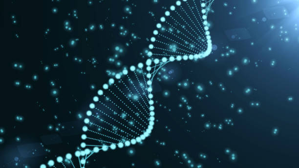 Regular Dna Regular General Stock Photos, Pictures & Royalty-Free Images - iStock